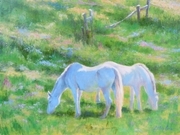 White Stallions