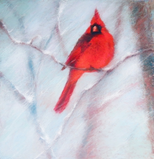 Winter Cardinal